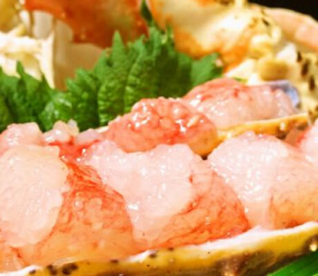 かにのお刺身の画像