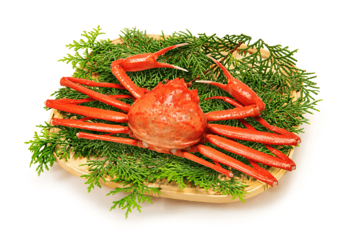 ずわいかに姿の画像